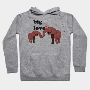 Big Love Hoodie